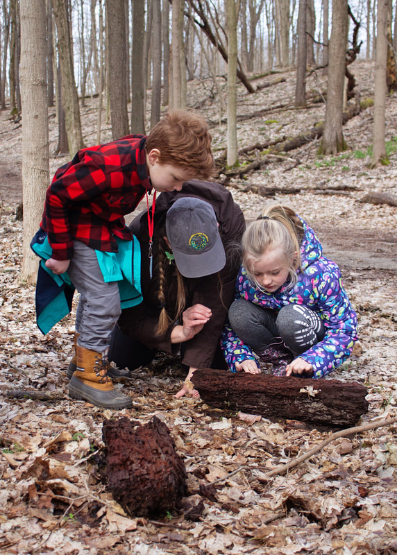 Two students and the Outdoor Educator focusing on organisms beneath a log they just turned over in the middle of the woods.
