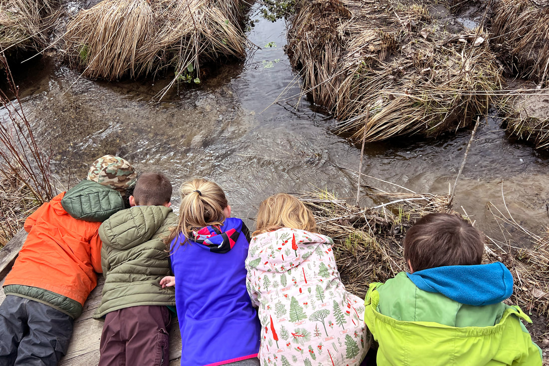 The black of five students as they lay on the ground observing the creek water below.